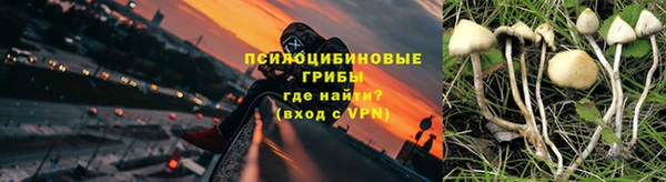 прущие грибы Армянск
