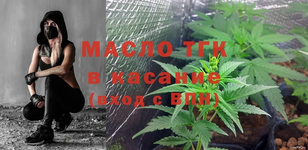 индика Аркадак