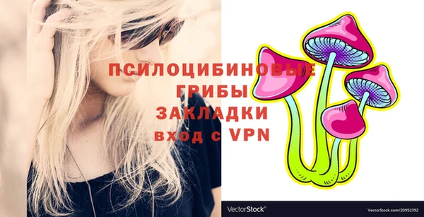 прущие грибы Армянск