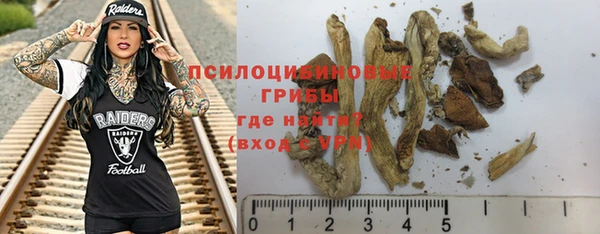 прущая мука Арсеньев