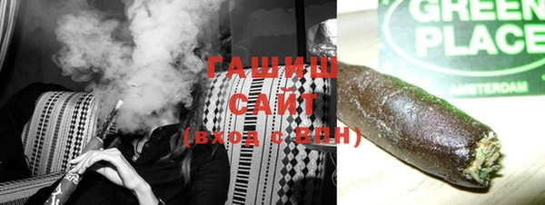 индика Аркадак
