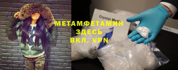 индика Аркадак