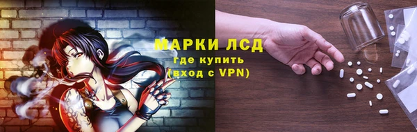 индика Аркадак