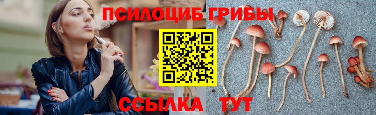 Галлюциногенные грибы мицелий Строитель